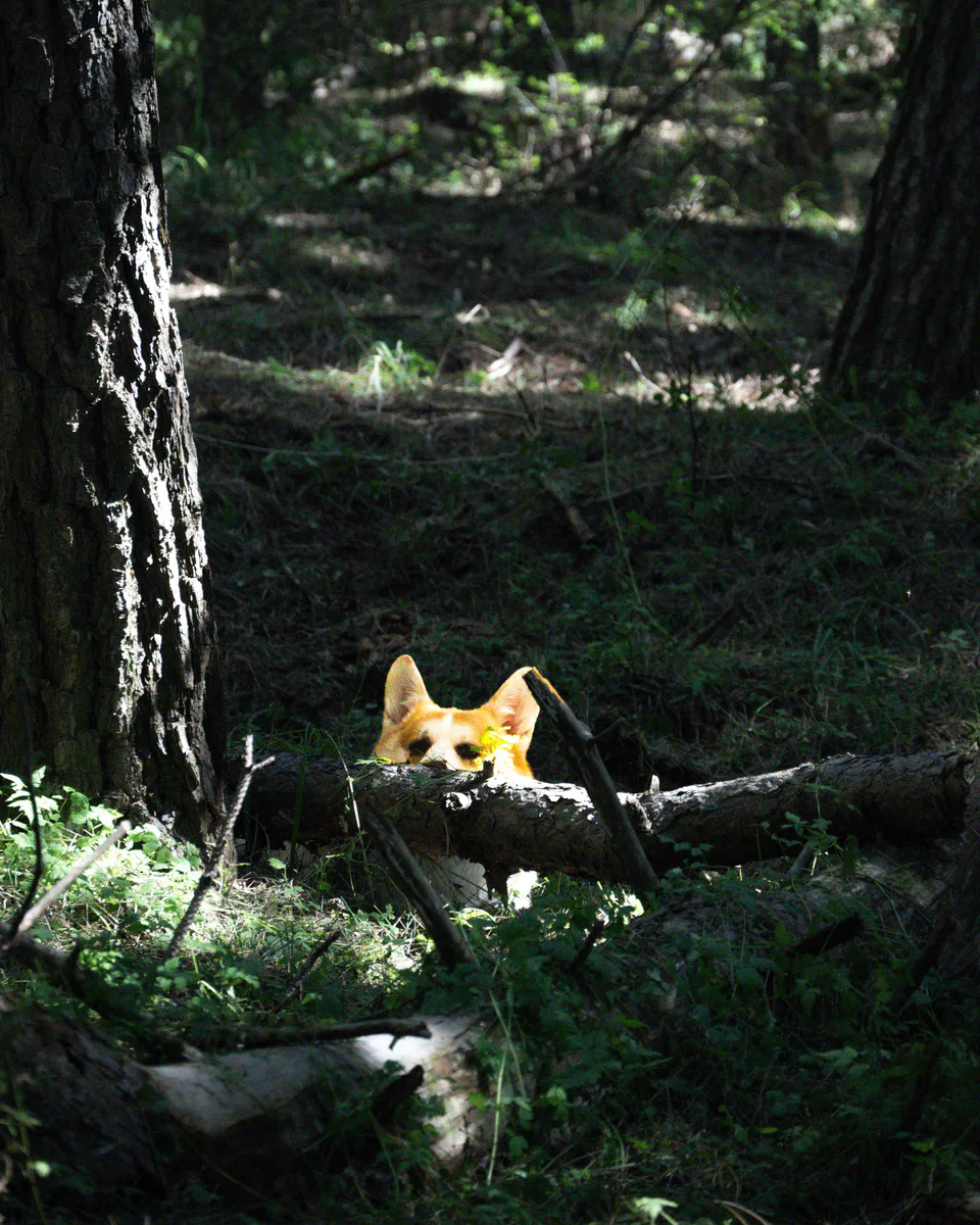 DSC_1932.jpg