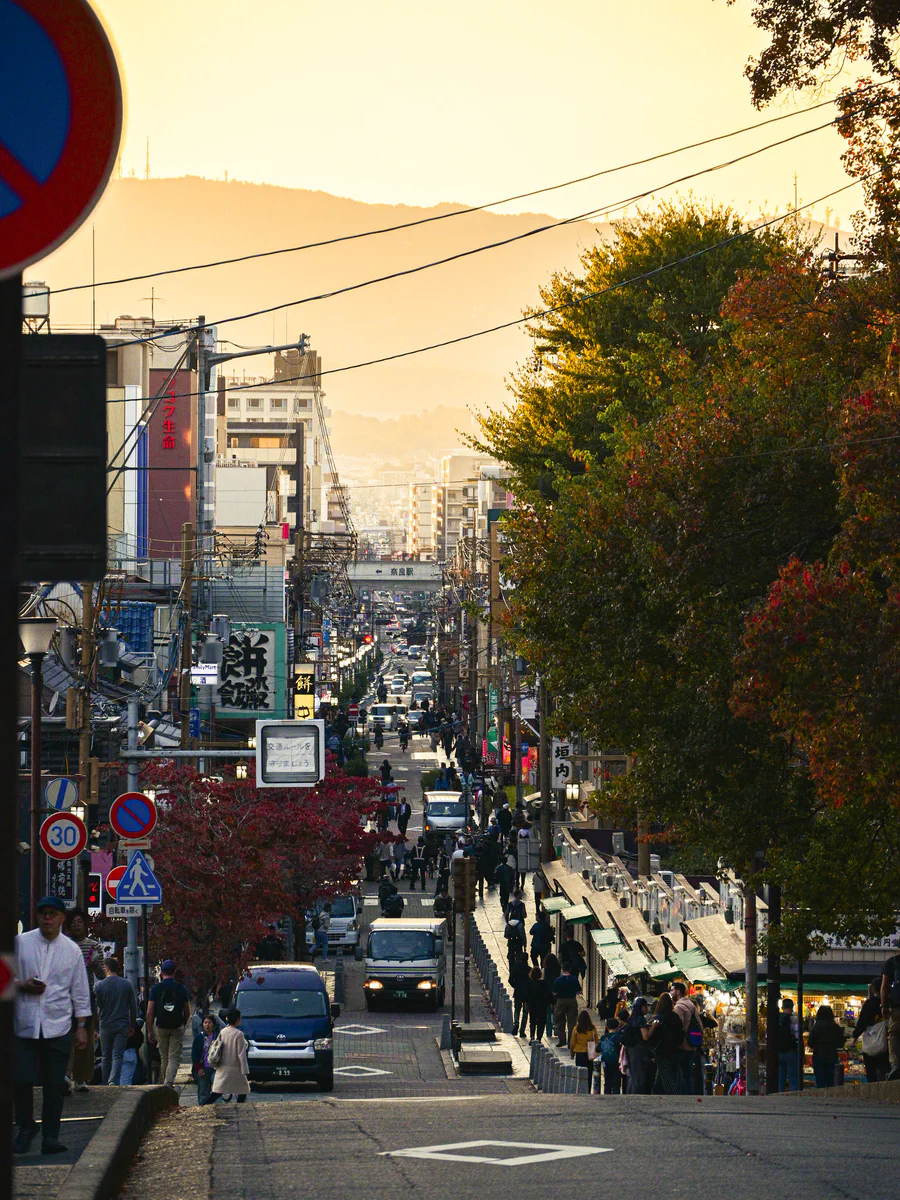 DSC_7723.jpg