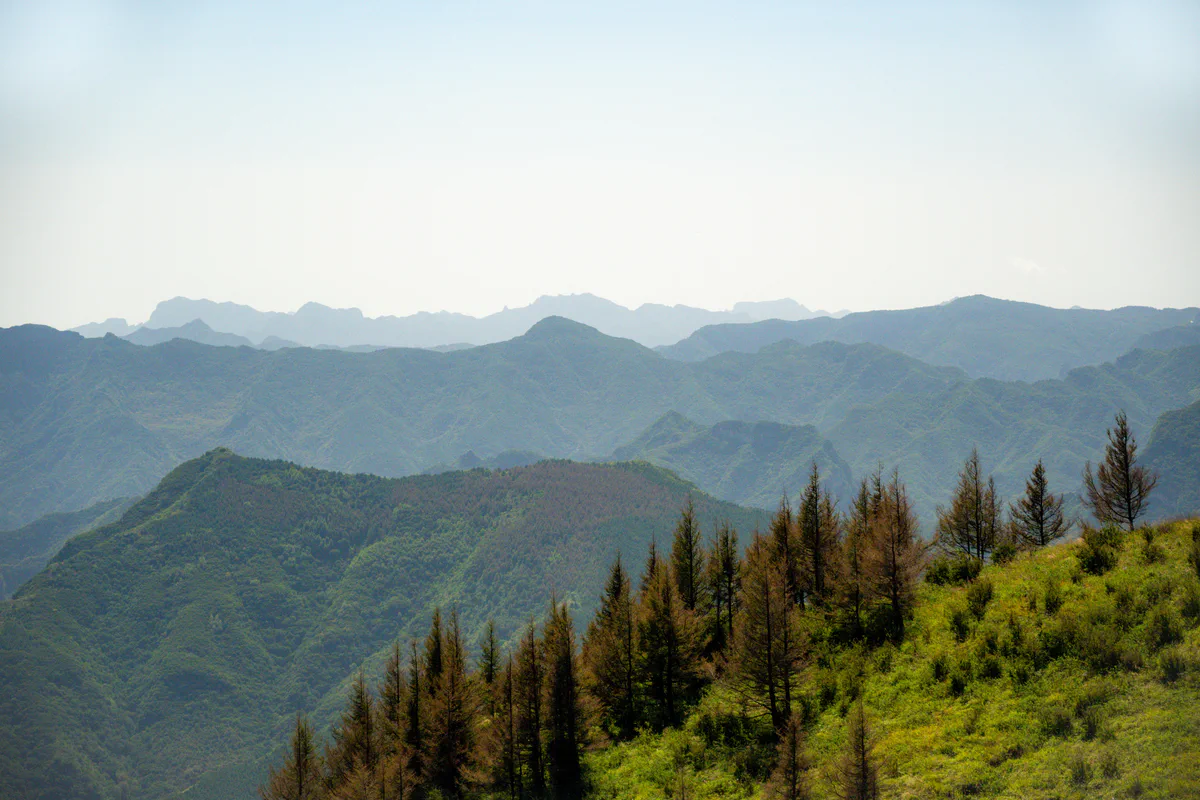 DSC_1796.jpg