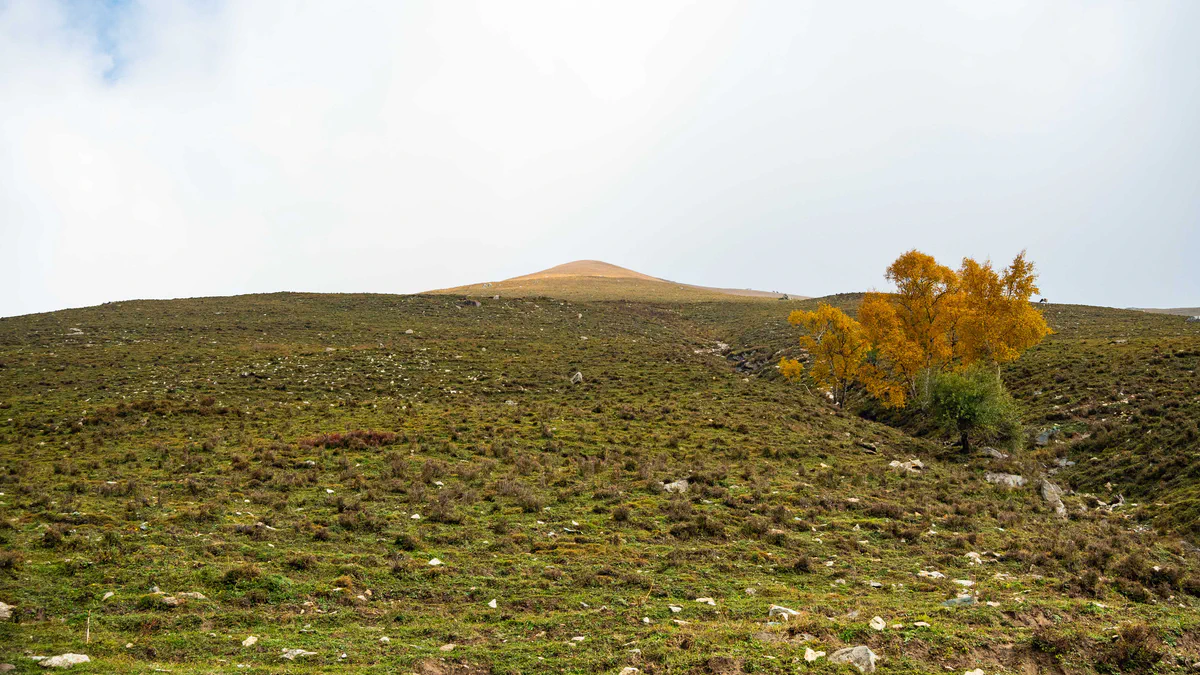DSC_2033.jpg