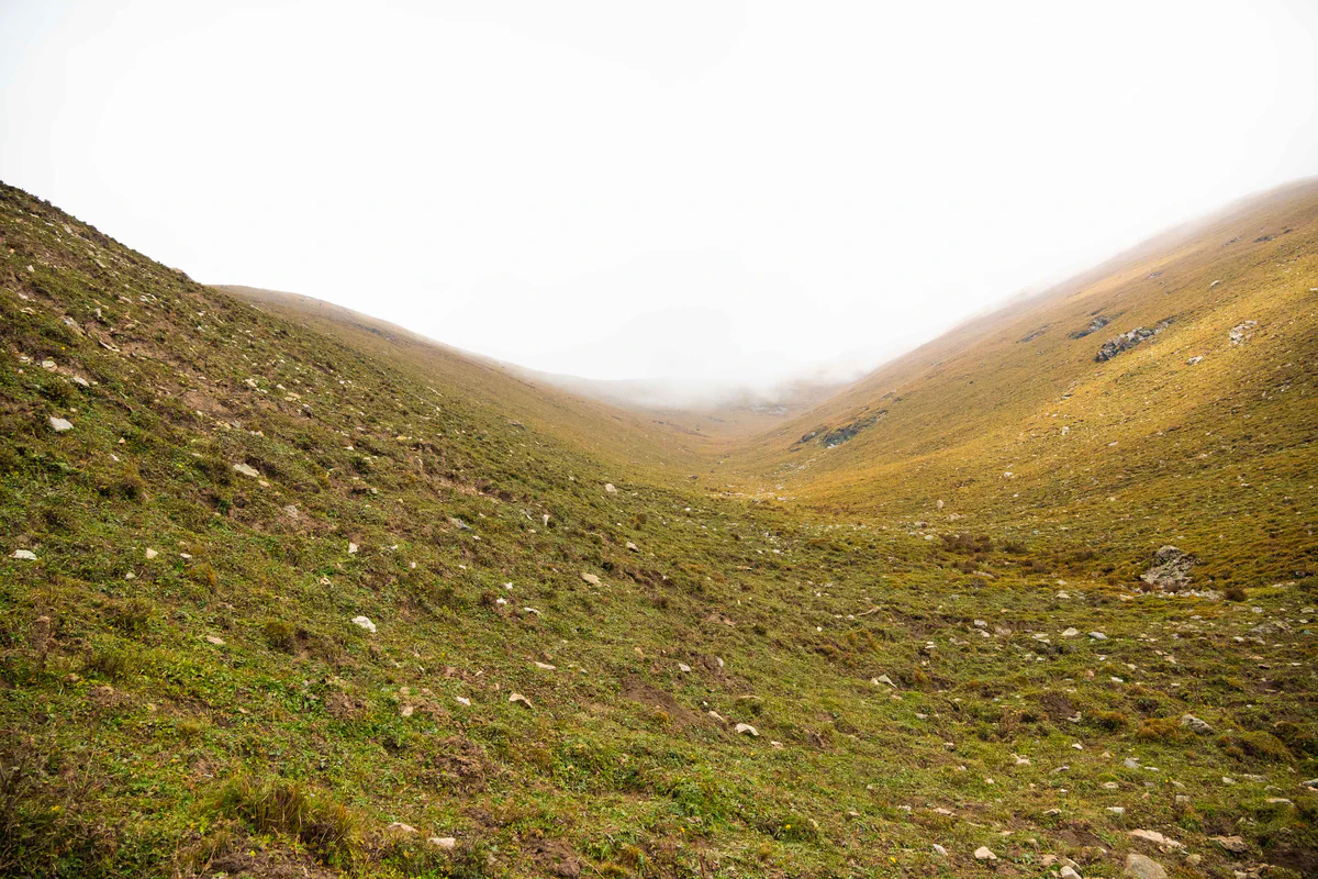 DSC_2058.jpg