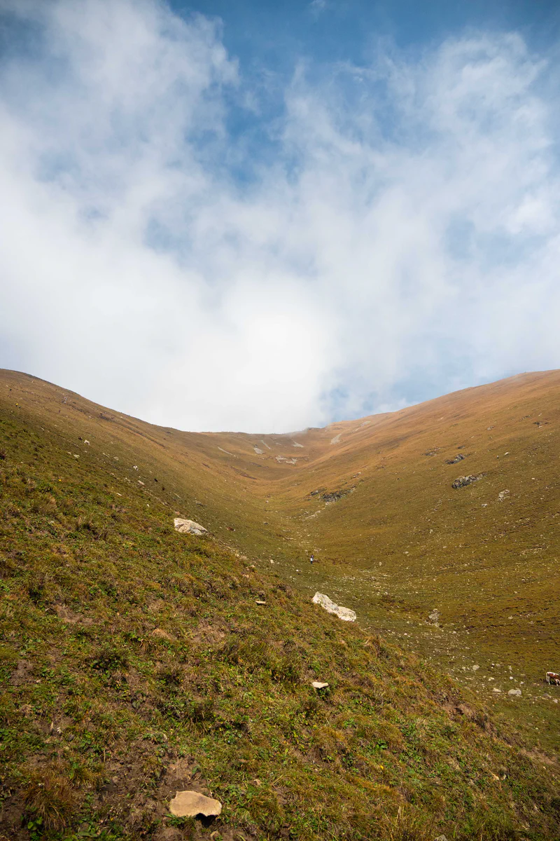 DSC_2065.jpg