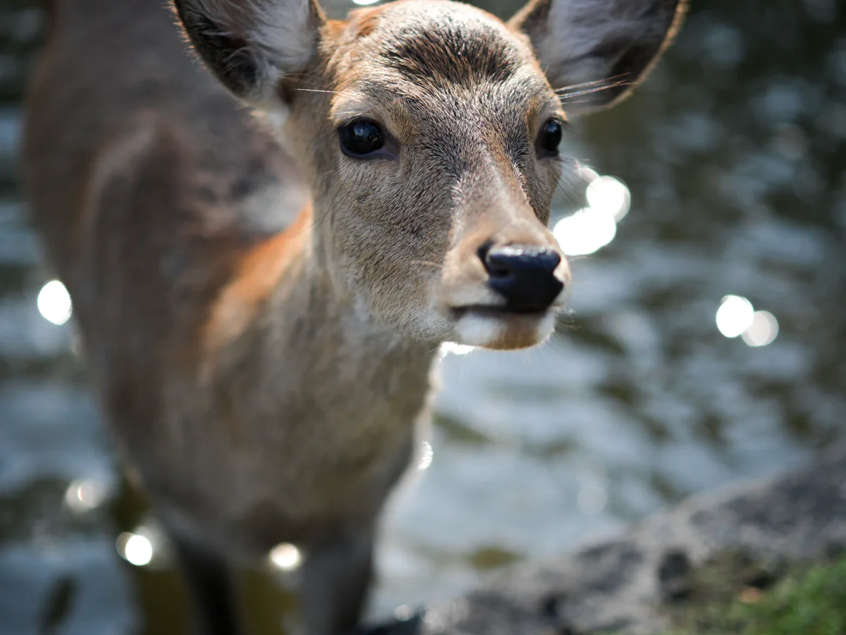 DSC_7300.jpg